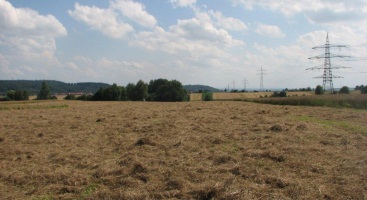 Landwirtschaft und Steuer - Steuerberaterin Doris Neuffer kennt sich aus